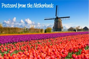 Postcard from Netherlands