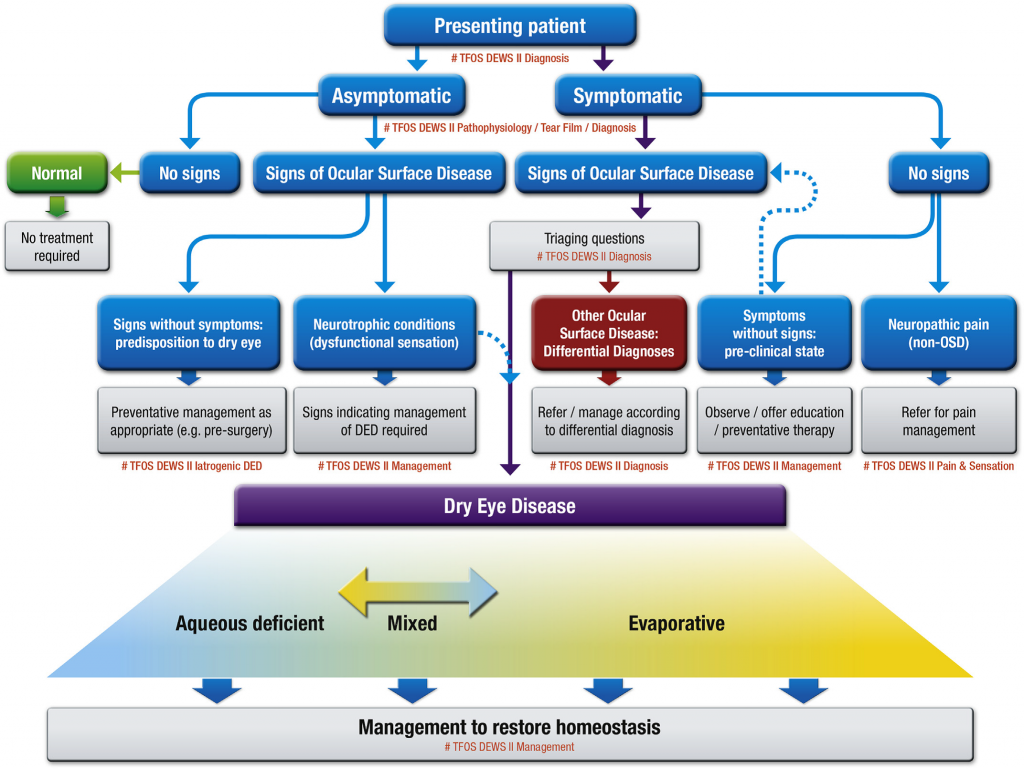 Classification of dry eye disease (used with permission from the TFOS DEWS II Definition and Classification report3)
